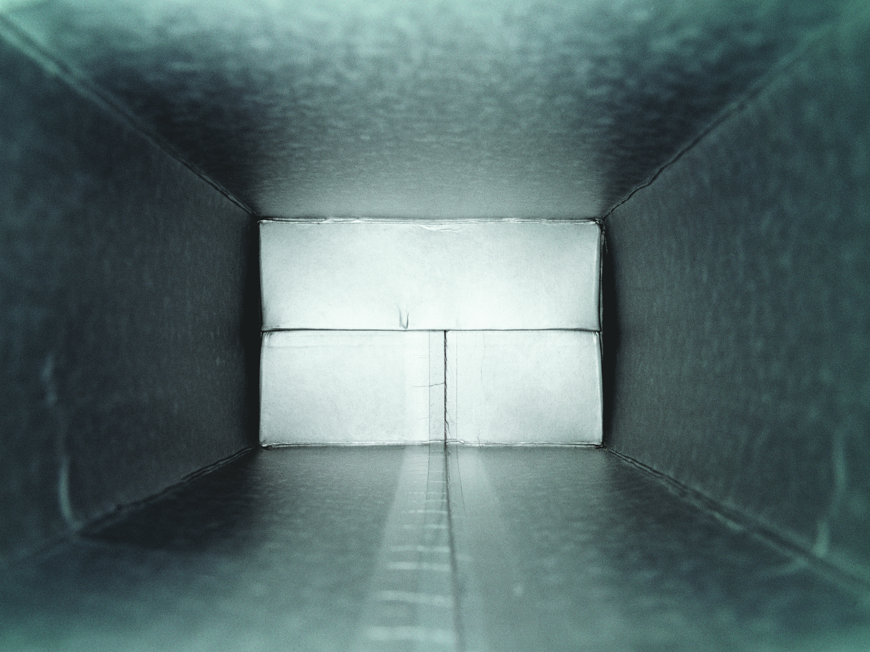 Tetrapak, 2001
300 x 410 cm
Digital printing on photographic paper
