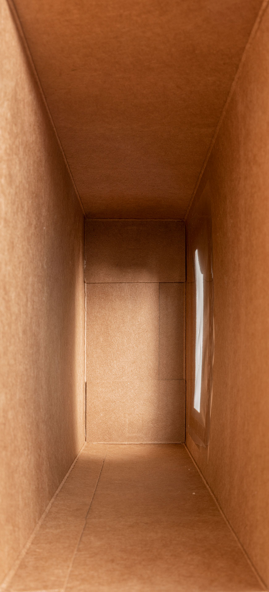 Sans Gluten, 2022
Pigment print on museum paper
240 x 110 cm
