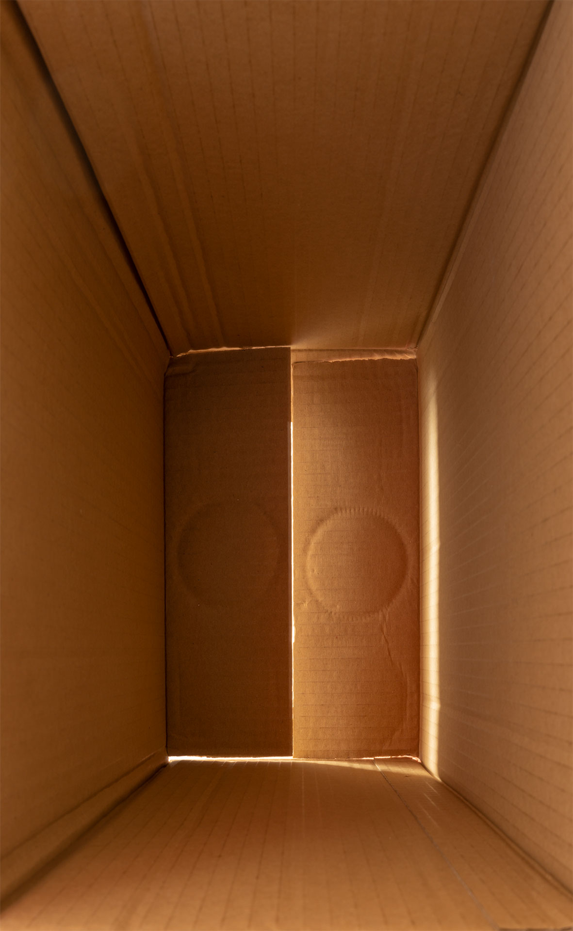 Six Vins, 2022
Pigment print on museum paper
240 x 150cm
