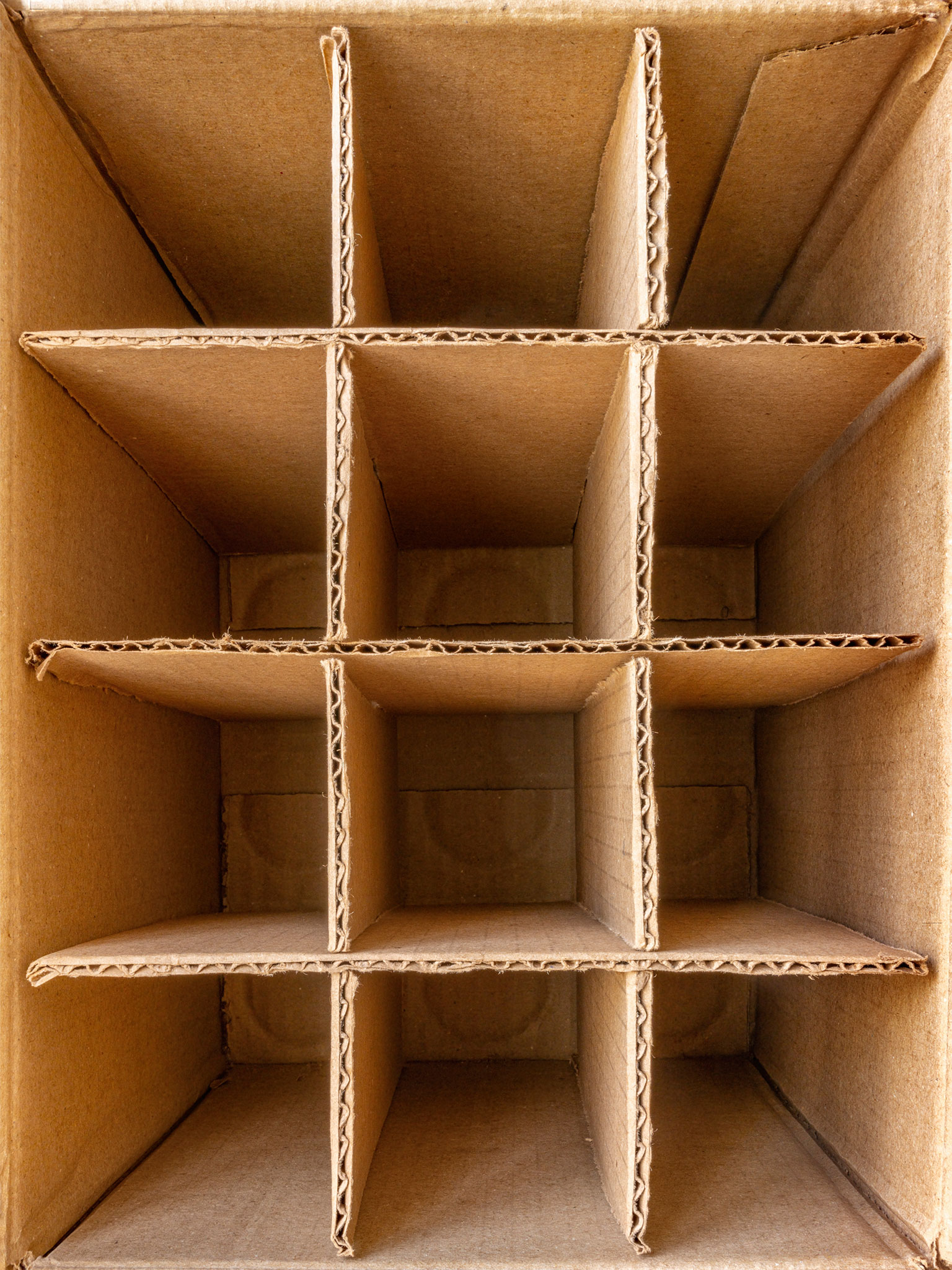 Kombutcha, 2023
Pigment print on museum paper
150 x 112,5 cm
