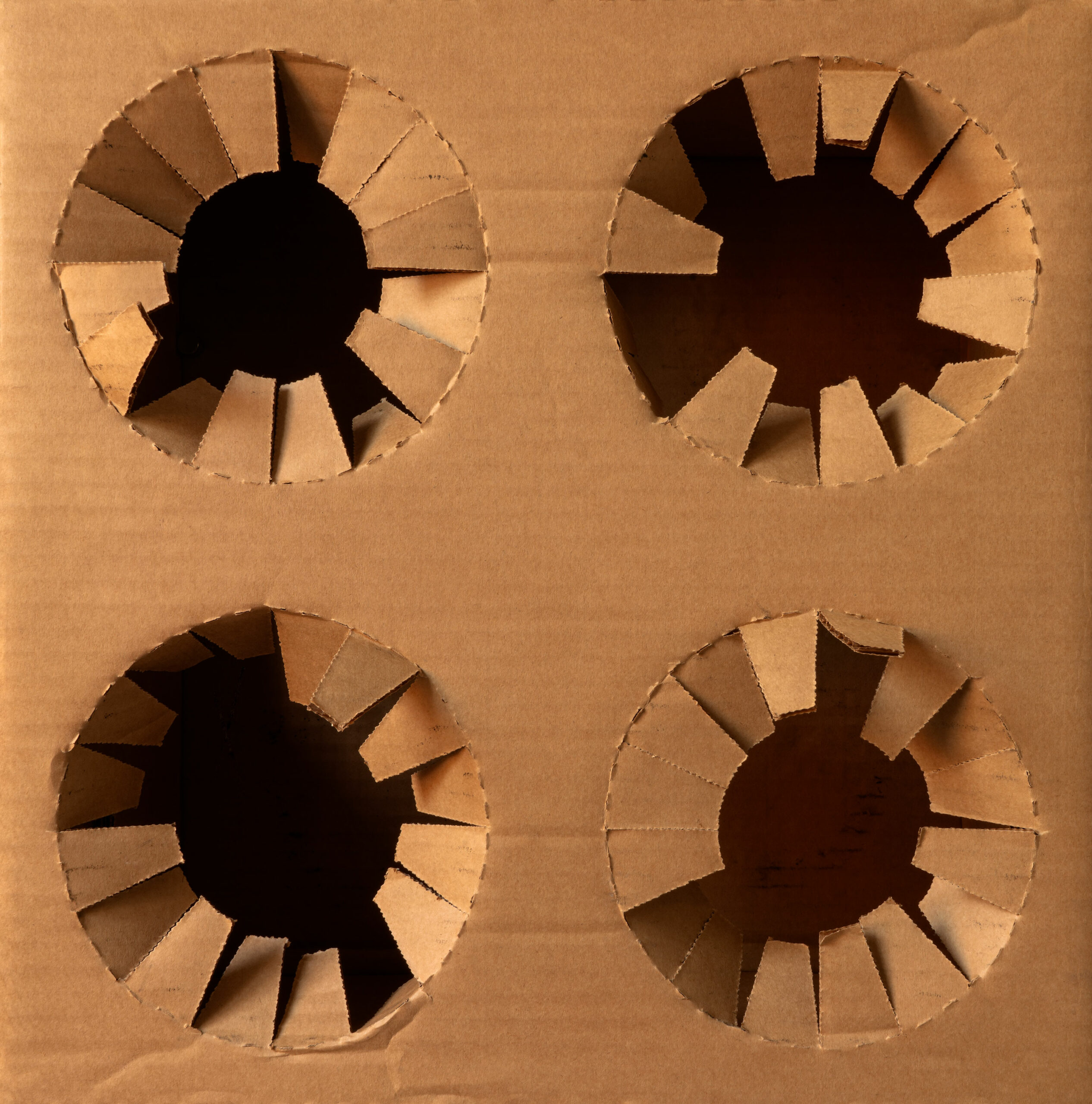 4 Pots, 2024
Impressão digital sobre papel fotográfico
250cm x 247cm
