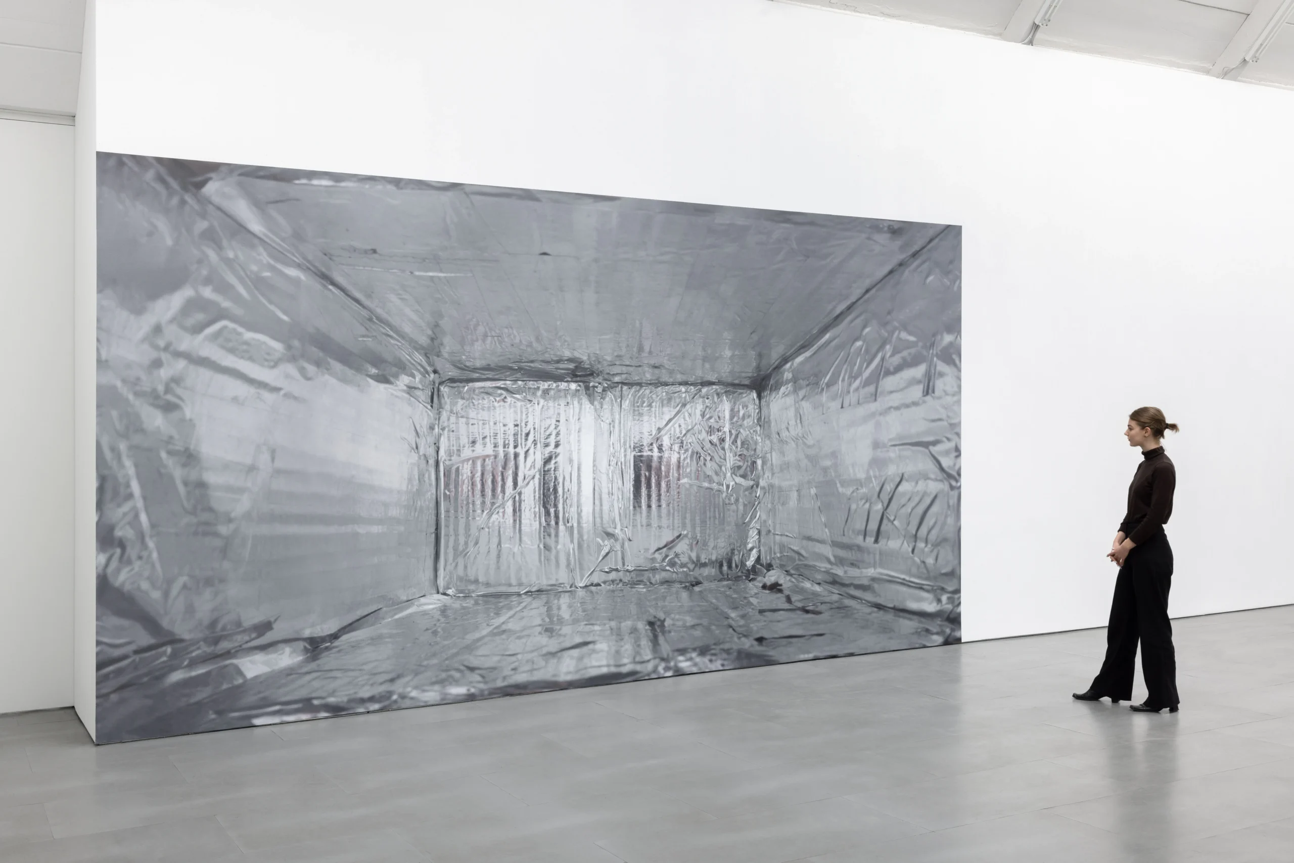 Silver, 2023320 x 600 cmImpressão  fotográfica em papel algodãoEm Light Falls, exposição individual na Galeria Carlier Gebauer, Berlim, Alemanha